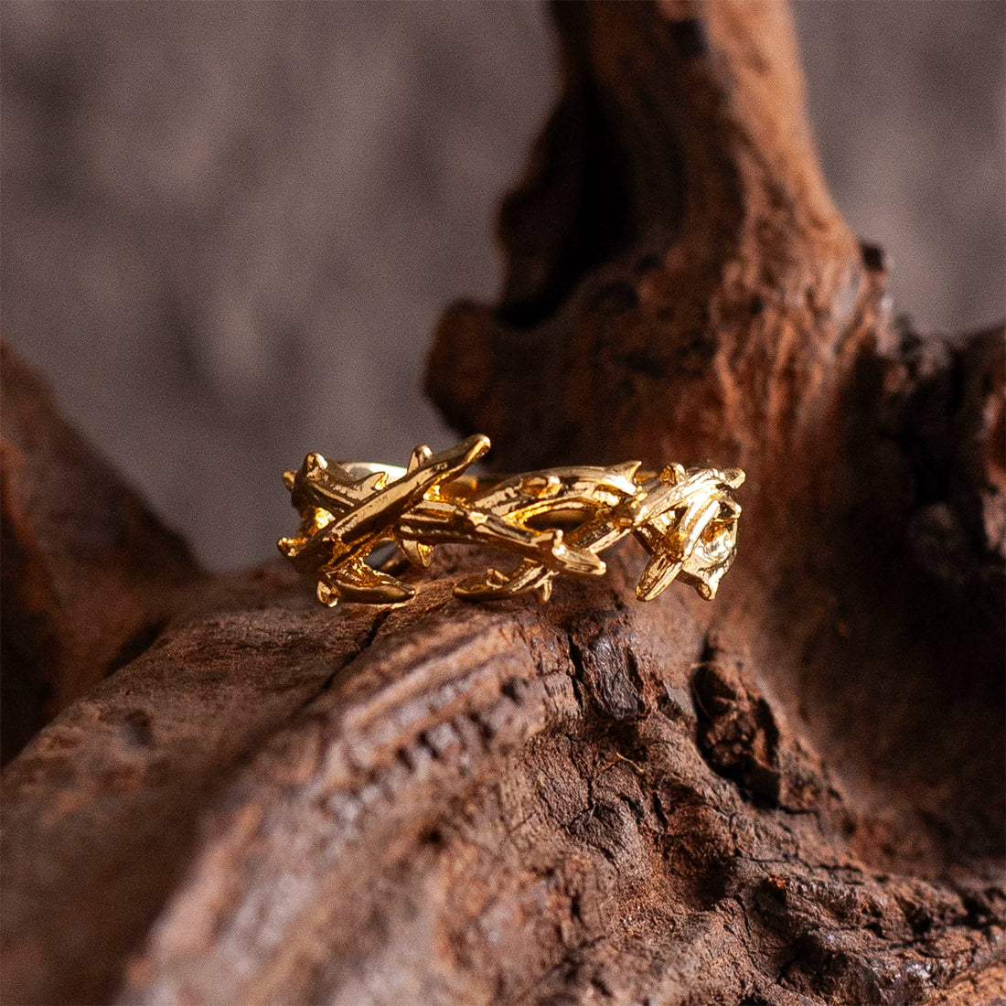 Endure the Thorns Gothic Ring alternative model view